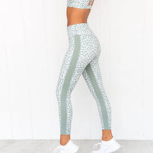 Load image into Gallery viewer, Dot Me High Rise Leggings