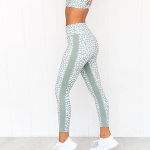 Dot Me High Rise Leggings