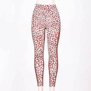 Dot Me High Rise Leggings