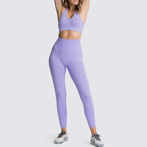 Lux 2 High-Rise Leggings & Bra Set